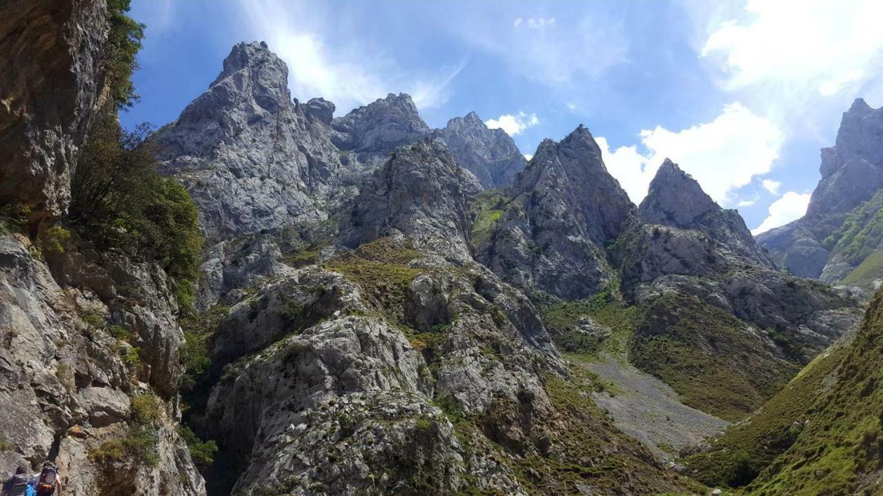 Viviendas De Uso Turistico La Arboleda I Y II Colombres Exteriér fotografie