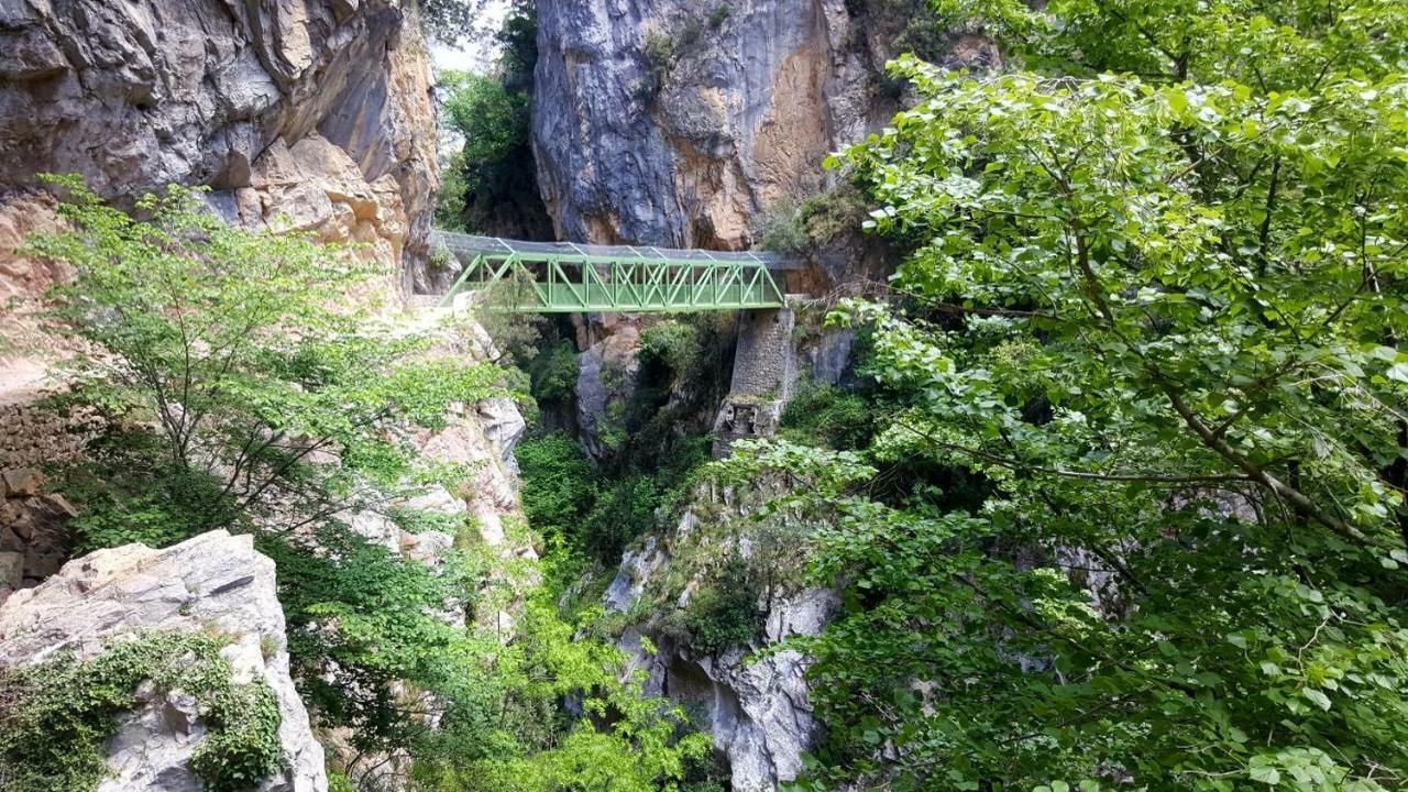 Viviendas De Uso Turistico La Arboleda I Y II Colombres Exteriér fotografie