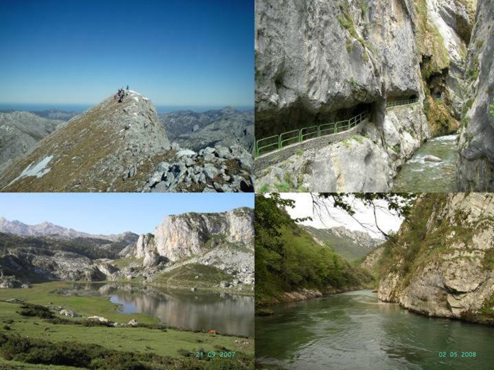 Viviendas De Uso Turistico La Arboleda I Y II Colombres Exteriér fotografie